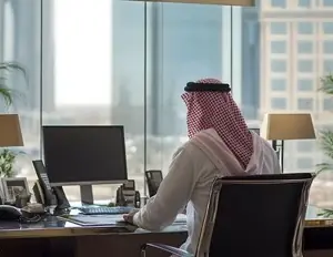 Business and Corporate Sector